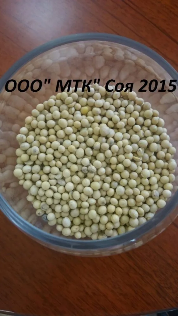 фотография продукта Соевые бобы Амурской область БЕЗ ГМО